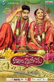 Kalyana Vaibhogame (2016) WEB-DL Hindi-Dubbed (ORG) UnCut Full Movie 480p [480MB] | 720p [1.3GB] | 1080p [3GB]