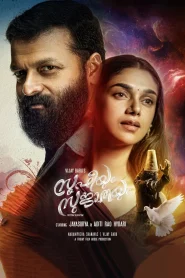 Sufiyum Sujatayum (2020) Uncut Dual Audio [Hindi-Malayalam] WEB-DL H264 AAC 2160p 1080p 720p 480p ESub