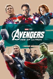 Avengers: Age of Ultron (2015) Dual Audio {Hindi-English} 480p [400MB] | 720p [1GB] | 1080p [2.7GB] 2160p