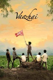 Vaazhai (2024) DSNP WEB-DL {Hindi ORG. DDP5.1} Full Movie 480p [400MB] | 720p [1GB] | 1080p [2GB]