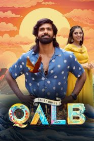 Qalb (2024) WEB-DL ORG. Dual Audio [Hindi – Malayalam] Full Movie 480p [530MB] | 720p [1.5GB] | 1080p [2.5GB]