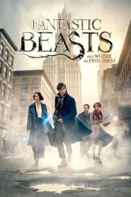 Fantastic Beasts and Where to Find Them (2016) Dual Audio {Hindi-English} 480p [450MB] | 720p [1GB] | 1080p [3GB] | 2160p [5GB]