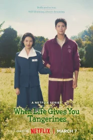 When Life Gives You Tangerines (2025) Season 1 Complete Multi Audio {Hindi-English-Korean} NetFlix Series 480p | 720p | 1080p WEB-DL