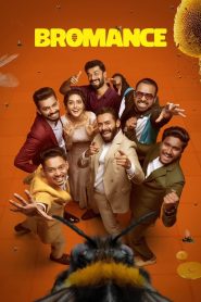 Bromance (2025) Dual Audio [Hindi + Malayalam] WEB-DL 480p [600MB] | 720p [1.3GB] | 1080p [3.3GB]