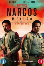 Narcos: Mexico S01 Dual Audio {Hindi-English} Complete Netflix WEB Series 480p | 720p HDRip