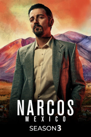 Narcos: Mexico S03 Dual Audio {Hindi-English} Complete Netflix WEB Series 480p | 720p HDRip