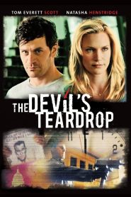 The Devils Teardrop (2010) Dual Audio {Hindi-English} BluRay 480p [300MB] | 720p [850MB] | 1080p [2GB]