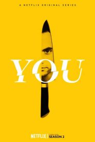 You 2019 S02 Netflix (Hindi-DD5.1) WEB-DL 480p 720p & 1080p Dual Audio Series