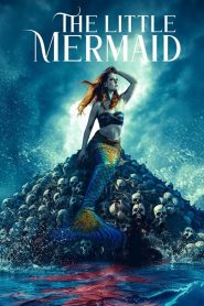 The Little Mermaid (2024) WEB-DL Dual Audio {Hindi-English} 480p [320MB] | 720p [1GB] | 1080p [1.7GB]