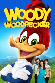 Woody Woodpecker (2017) Bluray Dual Audio {Hindi-English} 480p [300MB] | 720p [830MB] | 1080p [2GB]