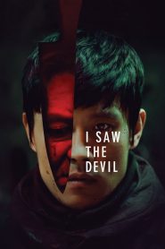 I Saw the Devil (2010) Dual Audio [Hindi ORG 5.1 – Korean] 480p [500MB] | 720p [1.3GB] | 1080p [3GB]