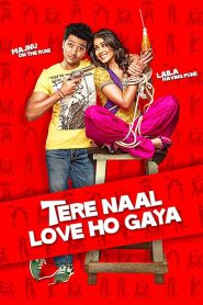 Tere Naal Love Ho Gaya (2012) Hindi Full Movie 480p [400MB] | 720p [1.2GB]