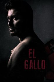 El Gallo (2018) Dual Audio {Hindi-English} BluRay 480p [380MB] | 720p [700MB] | 1080p [1.4GB]