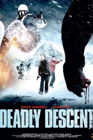 Deadly Descent (2013) Dual Audio {Hindi-English} 480p [300MB] | 720p [1GB]
