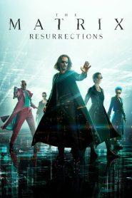 The Matrix Resurrections (2021) Dual Audio [Hindi ORG. + English] WEB-DL 480p [500MB] | 720p [1.3GB] | 1080p [2.6GB] | 2160p 4K
