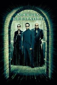 The Matrix (2003) Dual Audio {Hindi-English} BluRay 480p [480MB] | 720p [1.2GB] |1080p [2GB]