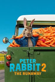 Peter Rabbit 2: The Runaway (2021) Dual Audio {Hindi-English} BluRay 480p [320MB] | 720p [1GB] | 1080p [2.5GB]