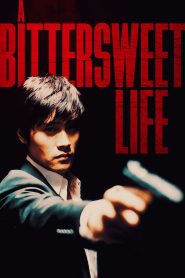 A Bittersweet Life (2005) BluRay Dual Audio (Hindi DD5.1-Korean) 480p [400MB] | 720p [1.2GB] | 1080p [2.3GB]