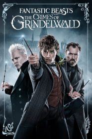 Fantastic Beasts 2: The Crimes of Grindelwald (2018) Dual Audio {Hindi-English} 480p [400MB] | 720p [1.3GB] | 1080p [3GB] | 2160p 4K [7GB]