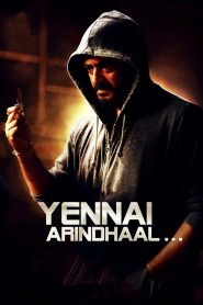 Yennai Arindhaal (2015) ORG. 2.0 [Hindi + Tamil] WeB-DL 480p [600MB] | 720p [1.5GB] | 1080p [3.3GB]