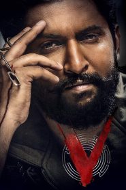 V (2020) Hindi Dubbed AMZN WebRip 480p [400MB] | 720p [1.2GB] | 1080p [2GB]