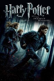 Harry Potter and the Deathly Hallows: Part 1 (2010) Dual Audio {Hindi-English} 480p [450MB] | 720p [1.2GB] | 1080p [2.8GB] | 2160p [20GB] 4K UHD
