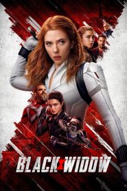 Black Widow (2021) Dual Audio {Hindi-English} 480p [400MB] | 720p [1GB] | 1080p [2GB] Disney+ Hotstar