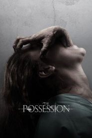 The Possession (2012) BluRay Dual Audio {Hindi-English} 480p [320MB] | 720p [950MB] | 1080p [1.7GB]
