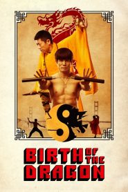 Birth of the Dragon (2016) Dual Audio {Hindi-English} BluRay 480p [350MB] | 720p [850MB] | 1080p [2GB]