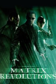 The Matrix Revolutions (2003) Dual Audio {Hindi-English} BluRay 480p [530MB] | 720p [1GB] | 1080p [2GB]