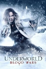 Underworld: Blood Wars (2016) Dual Audio {Hindi-English} BluRay 480p [300MB] | 720p [900MB] | 1080p [2GB]