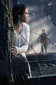 Personal Interest (2015) WEB-DL Dual Audio {Hindi-Russian} 480p [310MB] | 720p [1GB]