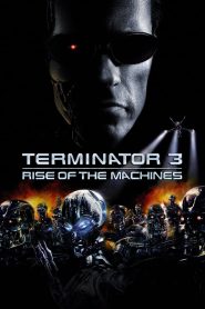 Terminator 3: Rise of the Machines (2003) Dual Audio {Hindi-English} 480p [350MB] | 720p [900MB] | 1080p [2.2GB]