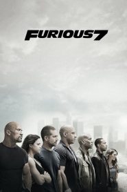Fast & Furious 7 (2015) Blu-ray Dual Audio {Hindi-English} 480p [500MB] | 720p [1.4GB] | 1080p [2.7GB] | 2160p [4K]