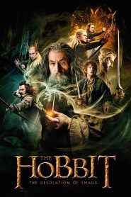 The Hobbit: The Desolation of Smaug (2013) Dual Audio [Hindi-English] 480p [500MB] | 720p [1.5GB] | 1080p [4.6GB]