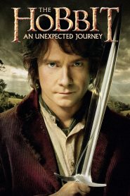 The Hobbit: An Unexpected Journey (2012) Dual Audio [Hindi-English] 480p [500MB] | 720p [1.5GB] | 1080p [4.6GB]