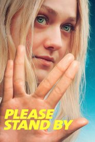 Please Stand By (2017) BluRay Dual Audio {Hindi-English} 480p [480MB] | 720p [970MB] | 1080p [2.5GB]