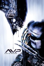 AVP: Alien vs. Predator (2004) Blu-Ray Dual Audio {Hindi-English} 480p [400MB] | 720p [1GB] | 1080p [2.5GB]