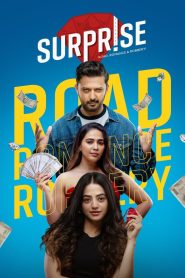 Surprise (2025) Gujarati HDRip 1080p, 480p, 720p, x264 AVC HE-AAC 2.0 [No Ads]