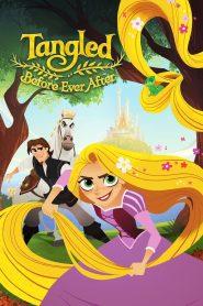 Tangled: Before Ever After (2017) Dual Audio {Hindi-English} BluRay 480p [200MB] | 720p [600MB] | 1080p [2GB]