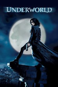 Underworld (2003) Dual Audio {Hindi-English} BluRay 480p [500MB] | 720p [900MB] | 1080p [2.7GB]