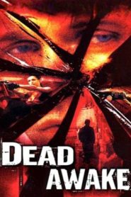 Dead Awake (2001) Dual Audio {Hindi-English} WEB-DL 480p [320MB] | 720p [950MB] | 1080p [2GB]