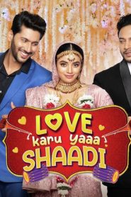 Love Karu Yaaa Shaadi (2025) Hindi PreDVD  1080p, 480p, 720p, x264 AVC HE-AAC 2.0
