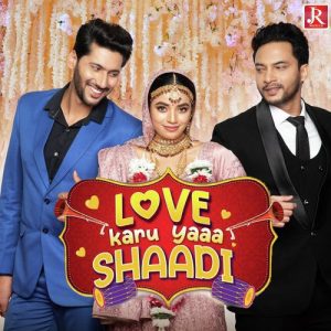 Love Karu Yaaa Shaadi (2025) Hindi PreDVD  1080p, 480p, 720p, x264 AVC HE-AAC 2.0